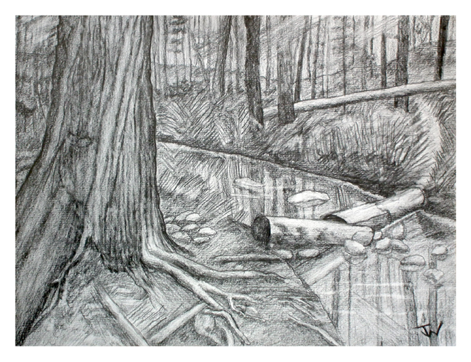 Johnstone Creek Provincial Park, Pencil Drawing on Paper, 9in x 12in, October 2013