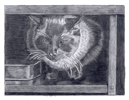 Theo, Vincent Van Gogh's Brother