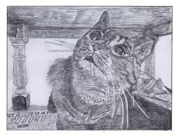 Ary, Named After Aryton Senna