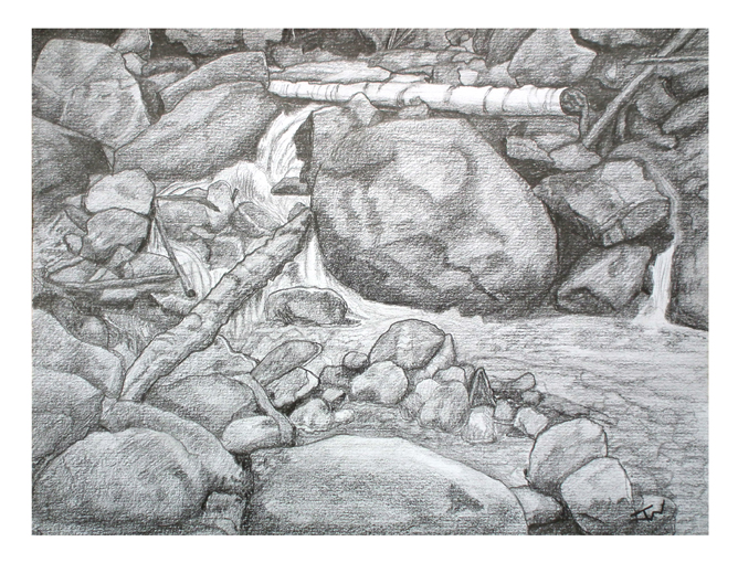 Tulip Creek, Syringa Provincial Park, 12 in x 9 in, Pencil Drawing on Paper, October 2013